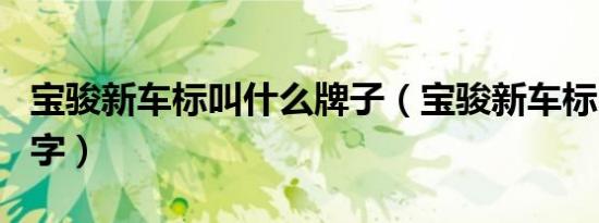 宝骏新车标叫什么牌子（宝骏新车标叫什么名字）