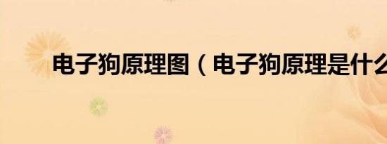 电子狗原理图（电子狗原理是什么）