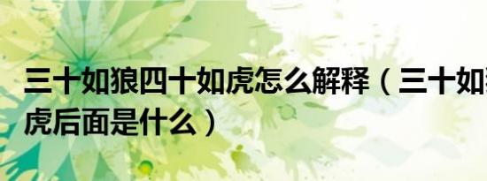 三十如狼四十如虎怎么解释（三十如狼四十如虎后面是什么）