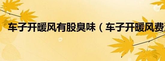车子开暖风有股臭味（车子开暖风费油吗）