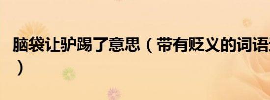 脑袋让驴踢了意思（带有贬义的词语还有哪些）