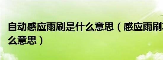 自动感应雨刷是什么意思（感应雨刷功能是什么意思）
