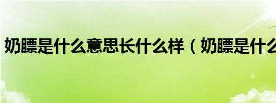 奶膘是什么意思长什么样（奶膘是什么意思）