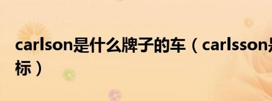 carlson是什么牌子的车（carlsson是什么车标）