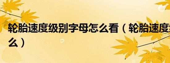 轮胎速度级别字母怎么看（轮胎速度级别指什么）