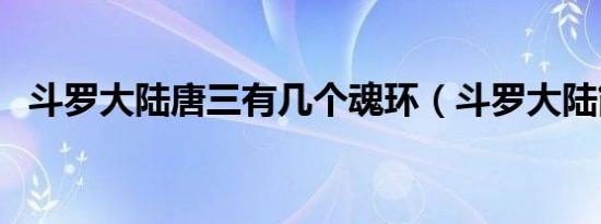 斗罗大陆唐三有几个魂环（斗罗大陆简介）