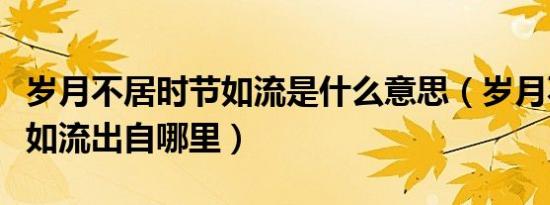岁月不居时节如流是什么意思（岁月不居时节如流出自哪里）