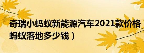 奇瑞小蚂蚁新能源汽车2021款价格（奇瑞小蚂蚁落地多少钱）