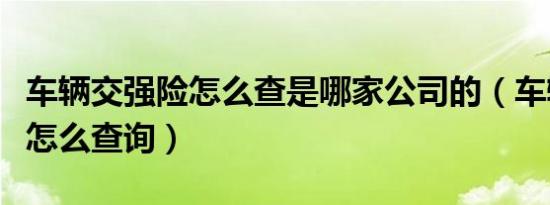 车辆交强险怎么查是哪家公司的（车辆交强险怎么查询）