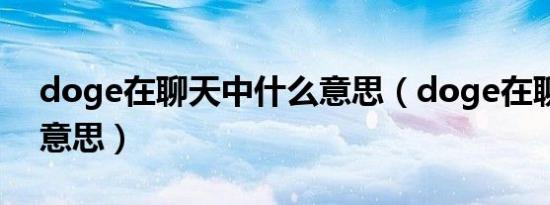 doge在聊天中什么意思（doge在聊天中啥意思）
