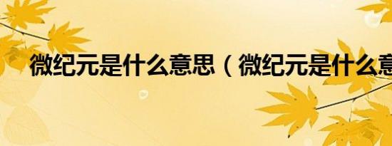 微纪元是什么意思（微纪元是什么意思）