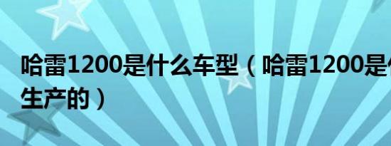 哈雷1200是什么车型（哈雷1200是什么时候生产的）