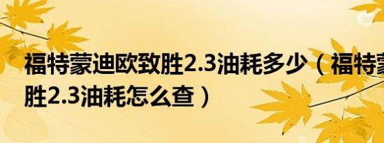 福特蒙迪欧致胜2.3油耗多少（福特蒙迪欧致胜2.3油耗怎么查）