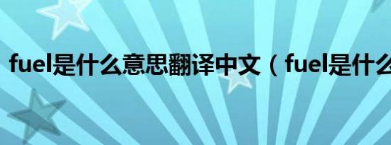 fuel是什么意思翻译中文（fuel是什么意思）