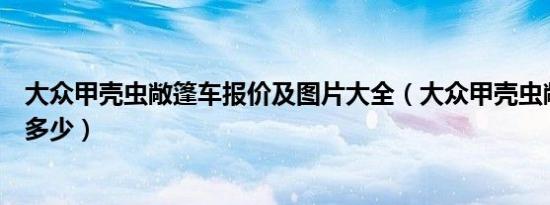 大众甲壳虫敞篷车报价及图片大全（大众甲壳虫敞篷车报价多少）