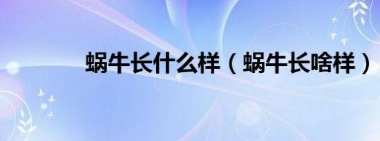 蜗牛长什么样（蜗牛长啥样）