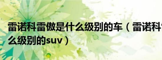 雷诺科雷傲是什么级别的车（雷诺科雷傲是什么级别的suv）