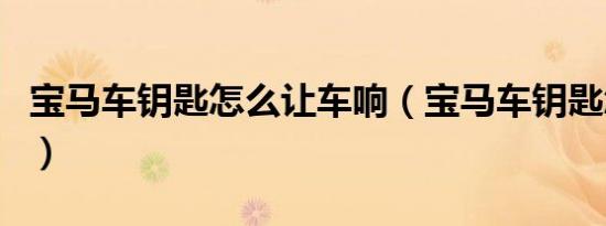 宝马车钥匙怎么让车响（宝马车钥匙怎么使用）