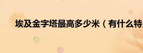 埃及金字塔最高多少米（有什么特点）
