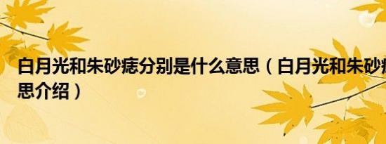 白月光和朱砂痣分别是什么意思（白月光和朱砂痣分别的意思介绍）