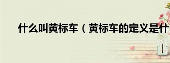 什么叫黄标车（黄标车的定义是什么）