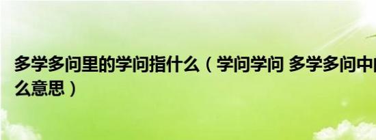 多学多问里的学问指什么（学问学问 多学多问中的学问是什么意思）