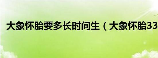 大象怀胎要多长时间生（大象怀胎33个月）