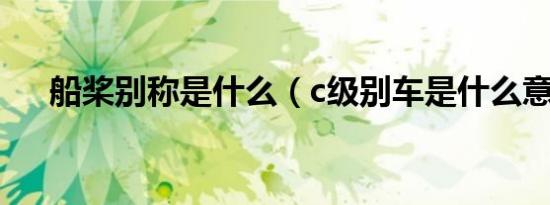 船桨别称是什么（c级别车是什么意思）