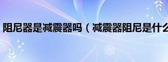 阻尼器是减震器吗（减震器阻尼是什么意思）