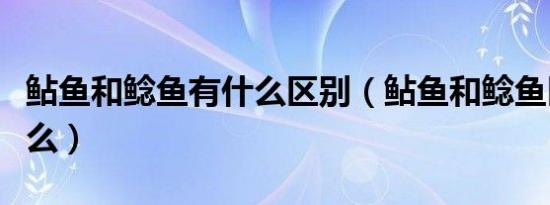 鲇鱼和鲶鱼有什么区别（鲇鱼和鲶鱼区别是什么）