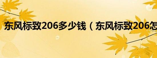 东风标致206多少钱（东风标致206怎么样）