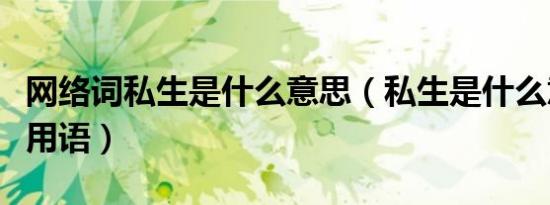 网络词私生是什么意思（私生是什么意思网络用语）