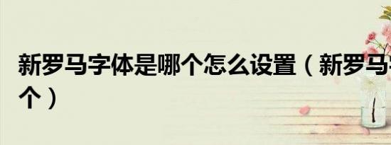 新罗马字体是哪个怎么设置（新罗马字体是哪个）