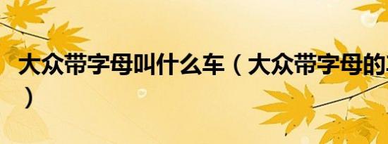 大众带字母叫什么车（大众带字母的车有哪些）