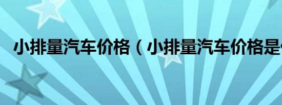 小排量汽车价格（小排量汽车价格是什么）