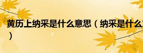 黄历上纳采是什么意思（纳采是什么意思黄历）