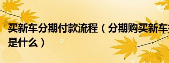 买新车分期付款流程（分期购买新车提车流程是什么）