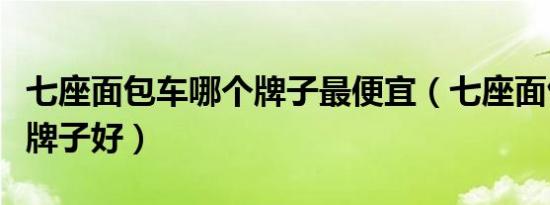 七座面包车哪个牌子最便宜（七座面包车哪个牌子好）