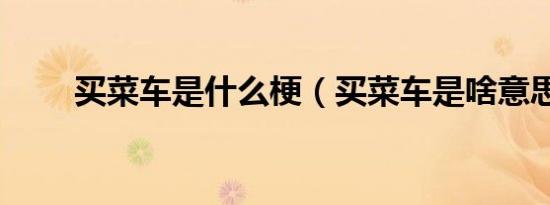 买菜车是什么梗（买菜车是啥意思）