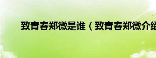 致青春郑微是谁（致青春郑微介绍）