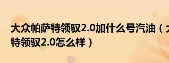 大众帕萨特领驭2.0加什么号汽油（大众帕萨特领驭2.0怎么样）