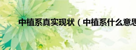 中植系真实现状（中植系什么意思）
