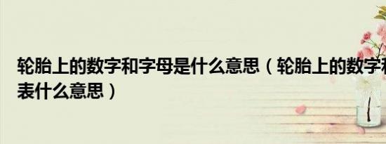 轮胎上的数字和字母是什么意思（轮胎上的数字和字母是代表什么意思）