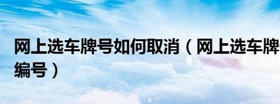 网上选车牌号如何取消（网上选车牌号如何自编号）