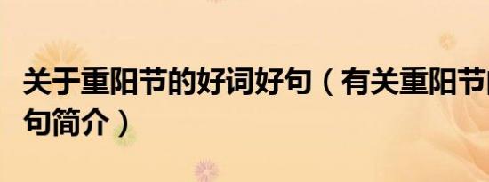 关于重阳节的好词好句（有关重阳节的好词好句简介）
