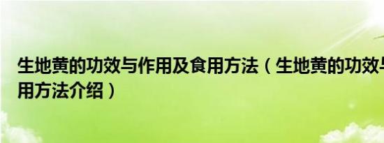 生地黄的功效与作用及食用方法（生地黄的功效与作用及食用方法介绍）