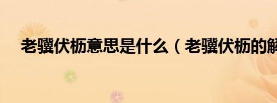老骥伏枥意思是什么（老骥伏枥的解释）