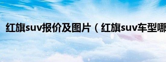 红旗suv报价及图片（红旗suv车型哪款好）