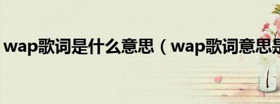 wap歌词是什么意思（wap歌词意思是什么）