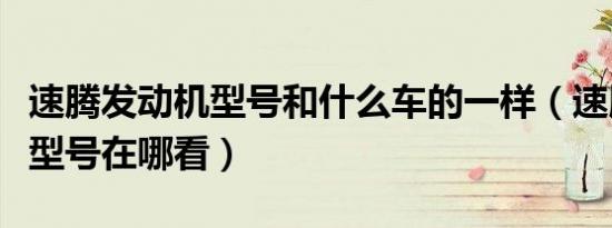 速腾发动机型号和什么车的一样（速腾发动机型号在哪看）